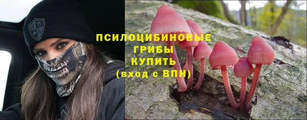 молекула духа Балабаново