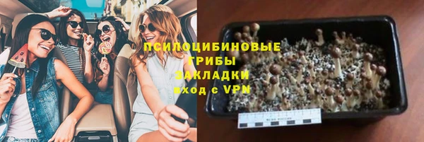 молекула духа Балабаново