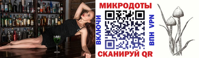 наркота  Печора  Псилоцибиновые грибы Psilocybe 